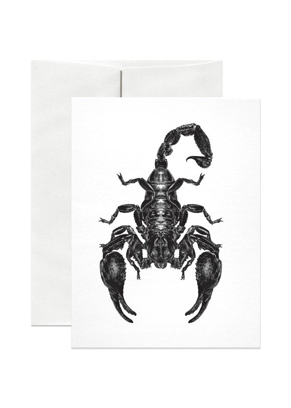 Emperor Scorpion Greeting Card
