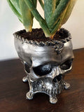 Human Skull Planter Pewter