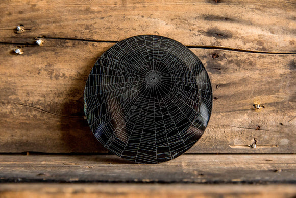 Spider Web Under Glass