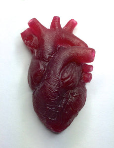Translucent Anatomical Heart Magnet