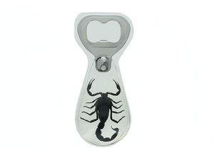 Scorpion Bottle Opener