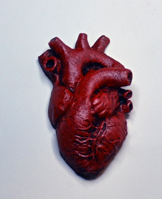 Anatomical Heart Magnet