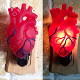 Anatomical Heart Night Light
