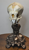 Nosferatu Fetal Skull Statue