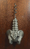 Spine & Pelvis Corkscrew