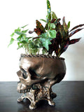 Human Skull Planter Bronze