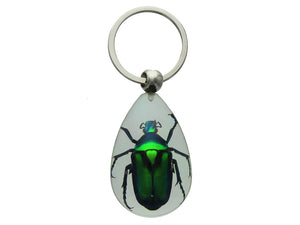 Green Rose Chafer Beetle Keychain